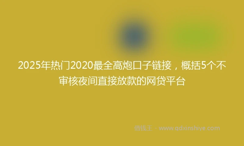 2025年热门2020最全高炮口子链接，概括5个不审核夜间直接放款的网贷平台