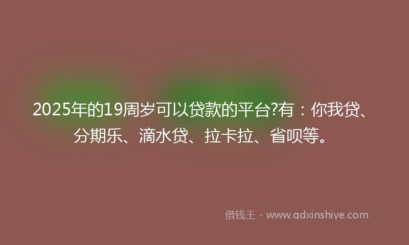 2025年的19周岁可以贷款的平台?有：你我贷、分期乐、滴水贷、拉卡拉、省呗等。