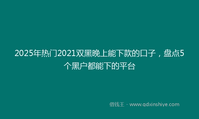 2025年热门2021双黑晚上能下款的口子，盘点5个黑户都能下的平台