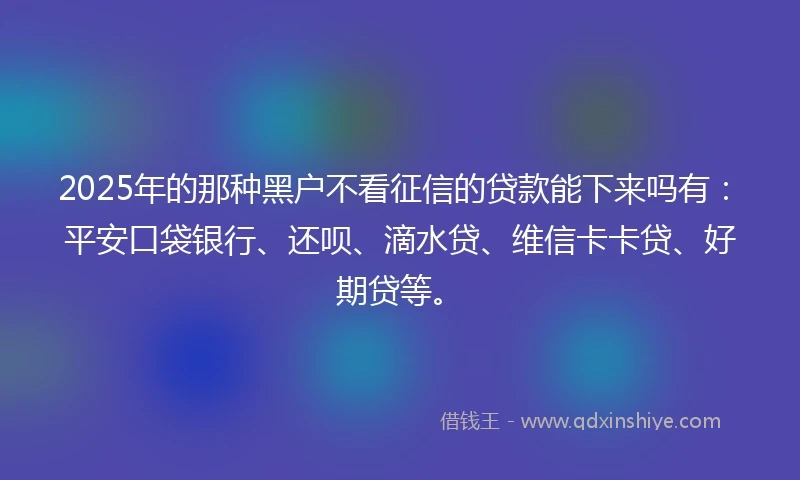2025年的那种黑户不看征信的贷款能下来吗有：平安口袋银行、还呗、滴水贷、维信卡卡贷、好期贷等。
