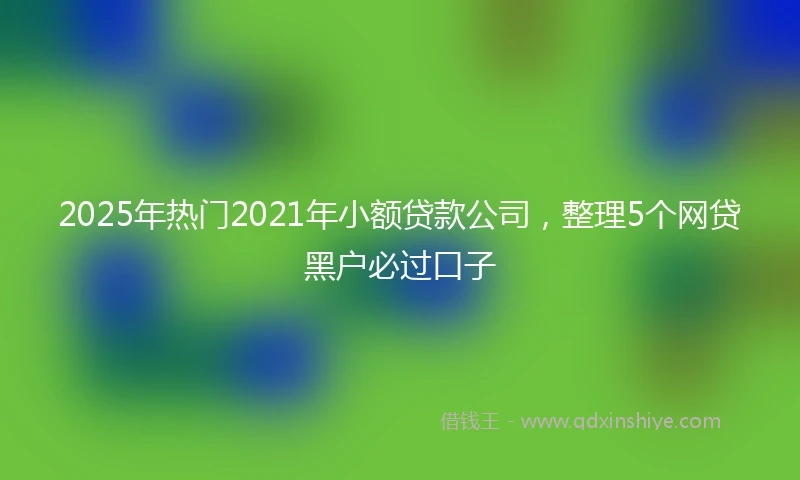 2025年热门2021年小额贷款公司，整理5个网贷黑户必过口子