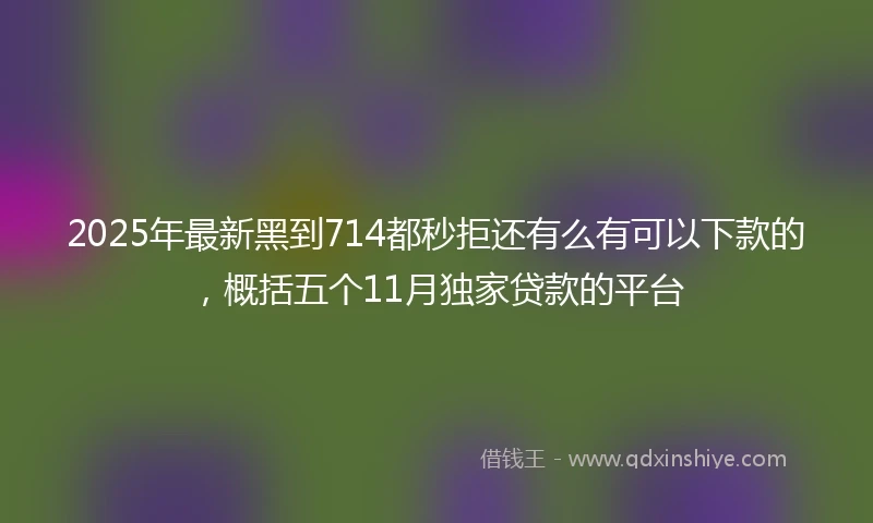 2025年最新黑到714都秒拒还有么有可以下款的，概括五个11月独家贷款的平台