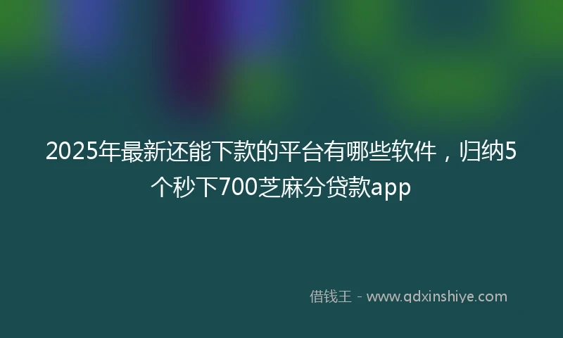 2025年最新还能下款的平台有哪些软件，归纳5个秒下700芝麻分贷款app
