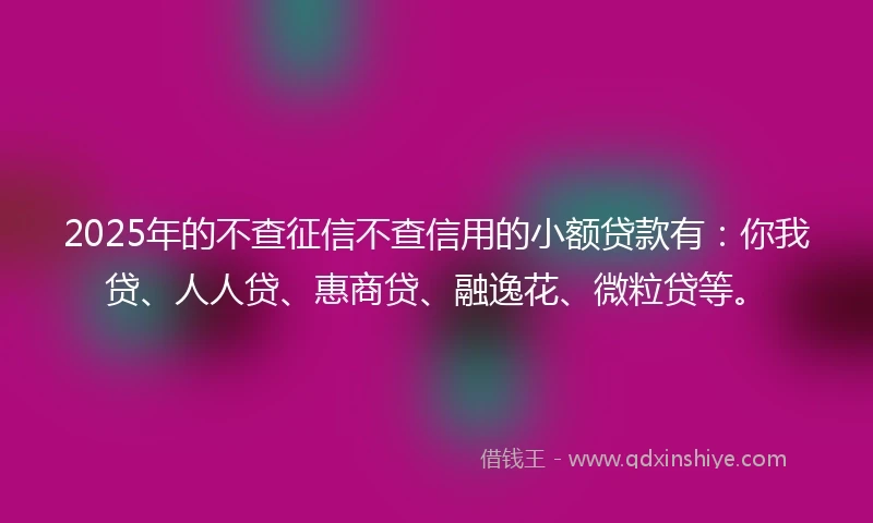 2025年的不查征信不查信用的小额贷款有：你我贷、人人贷、惠商贷、融逸花、微粒贷等。