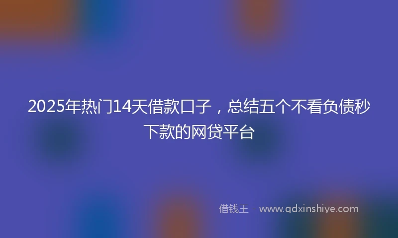 2025年热门14天借款口子，总结五个不看负债秒下款的网贷平台