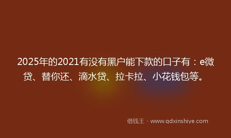 2025年的2021有没有黑户能下款的口子有：e微贷、替你还、滴水贷、拉卡拉、小花钱包等。