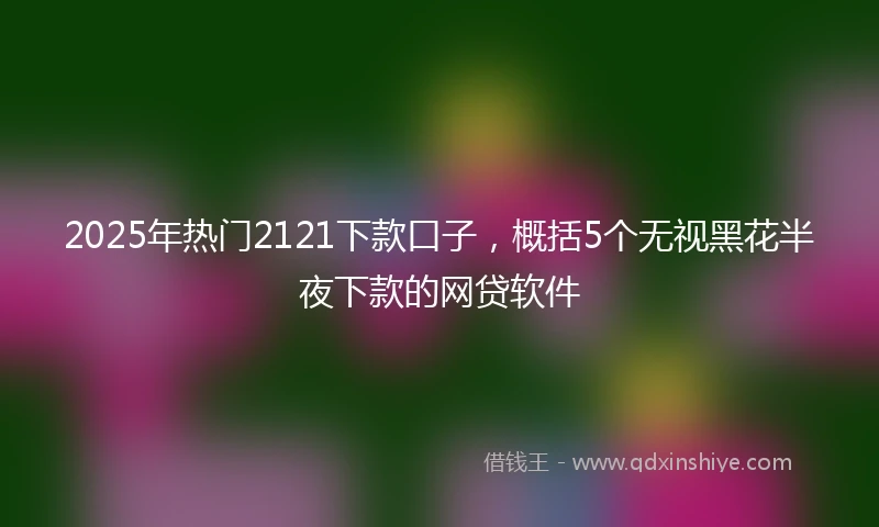 2025年热门2121下款口子，概括5个无视黑花半夜下款的网贷软件