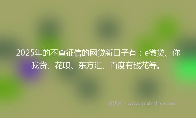 2025年的不查征信的网贷新口子有：e微贷、你我贷、花呗、东方汇、百度有钱花等。