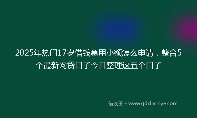 2025年热门17岁借钱急用小额怎么申请，整合5个最新网贷口子今日整理这五个口子