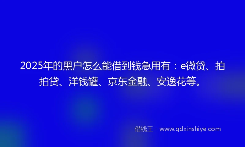 2025年的黑户怎么能借到钱急用有：e微贷、拍拍贷、洋钱罐、京东金融、安逸花等。