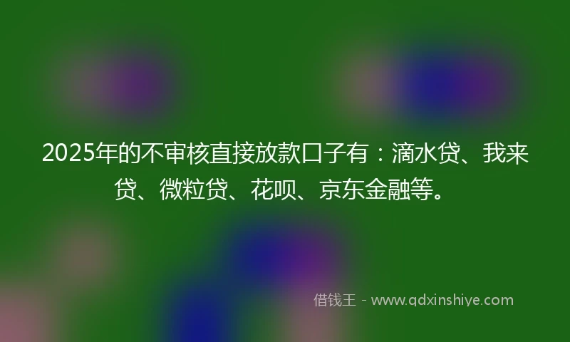 2025年的不审核直接放款口子有：滴水贷、我来贷、微粒贷、花呗、京东金融等。