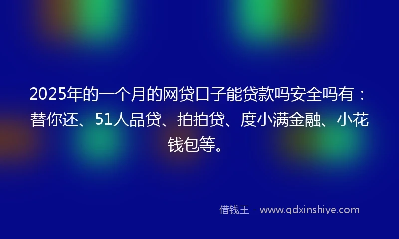 2025年的一个月的网贷口子能贷款吗安全吗有：替你还、51人品贷、拍拍贷、度小满金融、小花钱包等。