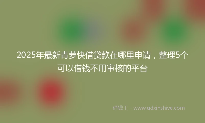 2025年最新青萝快借贷款在哪里申请，整理5个可以借钱不用审核的平台