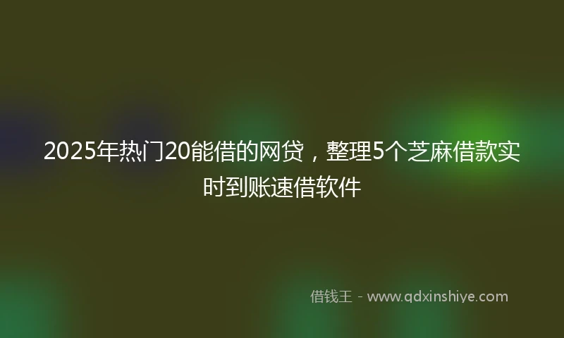 2025年热门20能借的网贷，整理5个芝麻借款实时到账速借软件