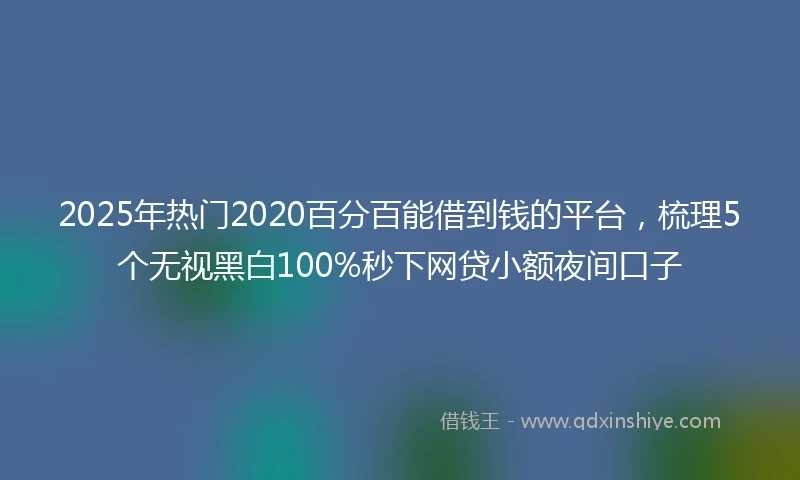 2025年热门2020百分百能借到钱的平台，梳理5个无视黑白100%秒下网贷小额夜间口子