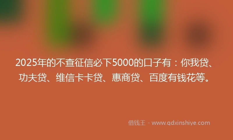 2025年的不查征信必下5000的口子有：你我贷、功夫贷、维信卡卡贷、惠商贷、百度有钱花等。