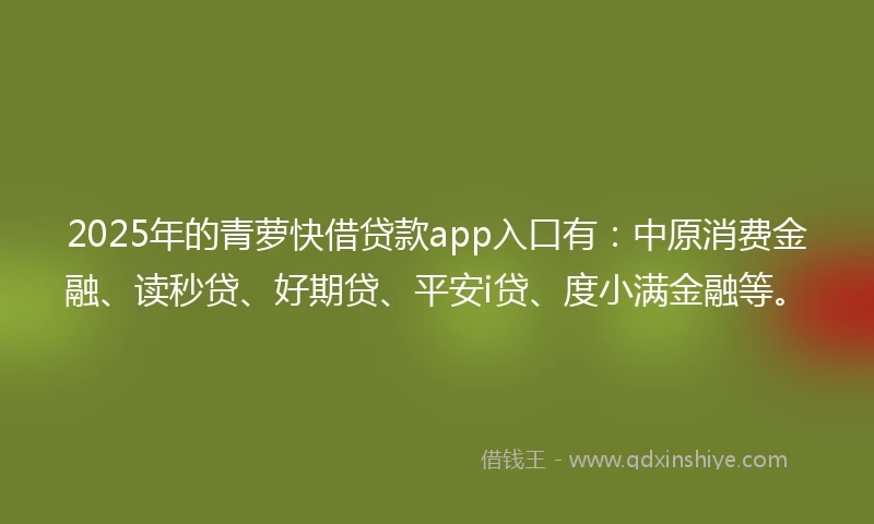 2025年的青萝快借贷款app入口有：中原消费金融、读秒贷、好期贷、平安i贷、度小满金融等。