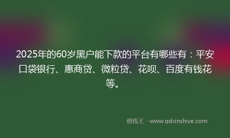 2025年的60岁黑户能下款的平台有哪些有：平安口袋银行、惠商贷、微粒贷、花呗、百度有钱花等。