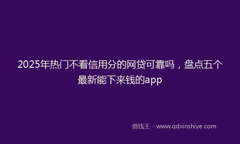 2025年热门不看信用分的网贷可靠吗，盘点五个最新能下来钱的app