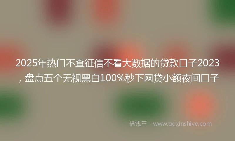 2025年热门不查征信不看大数据的贷款口子2023，盘点五个无视黑白100%秒下网贷小额夜间口子