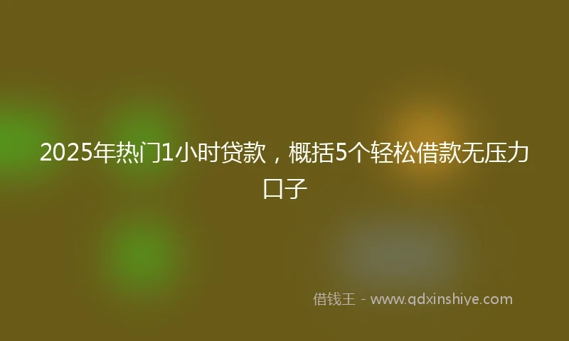 2025年热门1小时贷款，概括5个轻松借款无压力口子