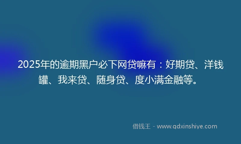 2025年的逾期黑户必下网贷嘛有：好期贷、洋钱罐、我来贷、随身贷、度小满金融等。