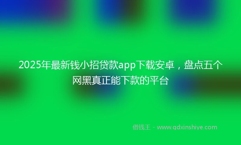 2025年最新钱小招贷款app下载安卓，盘点五个网黑真正能下款的平台