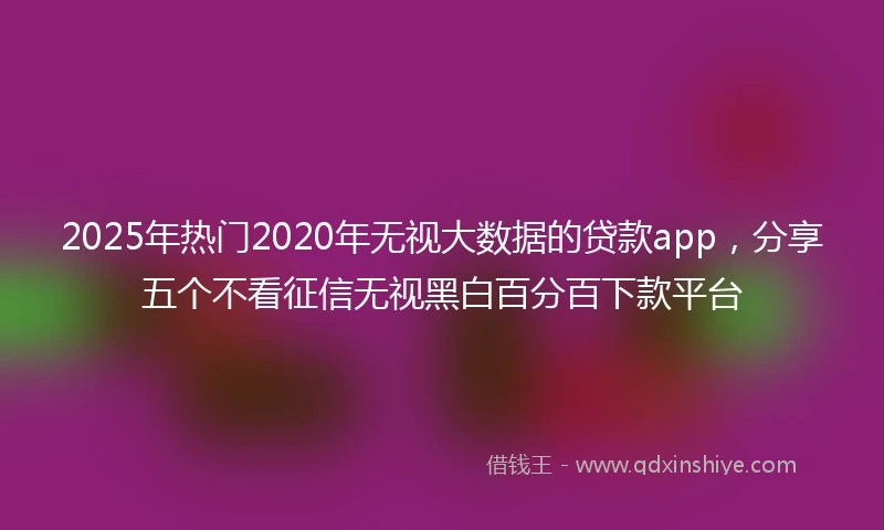 2025年热门2020年无视大数据的贷款app，分享五个不看征信无视黑白百分百下款平台
