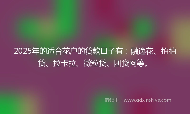 2025年的适合花户的贷款口子有：融逸花、拍拍贷、拉卡拉、微粒贷、团贷网等。