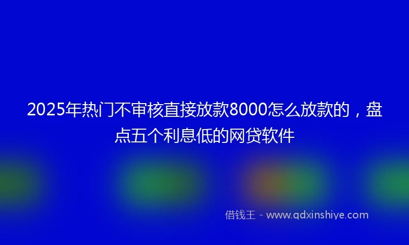 2025年热门不审核直接放款8000怎么放款的，盘点五个利息低的网贷软件