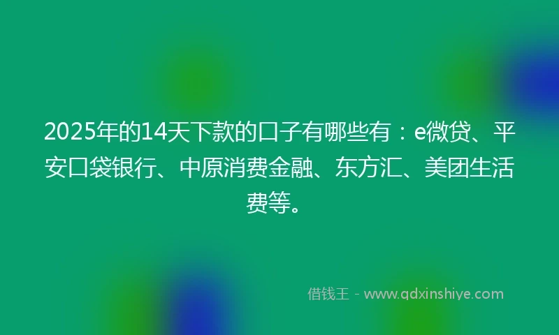 2025年的14天下款的口子有哪些有：e微贷、平安口袋银行、中原消费金融、东方汇、美团生活费等。