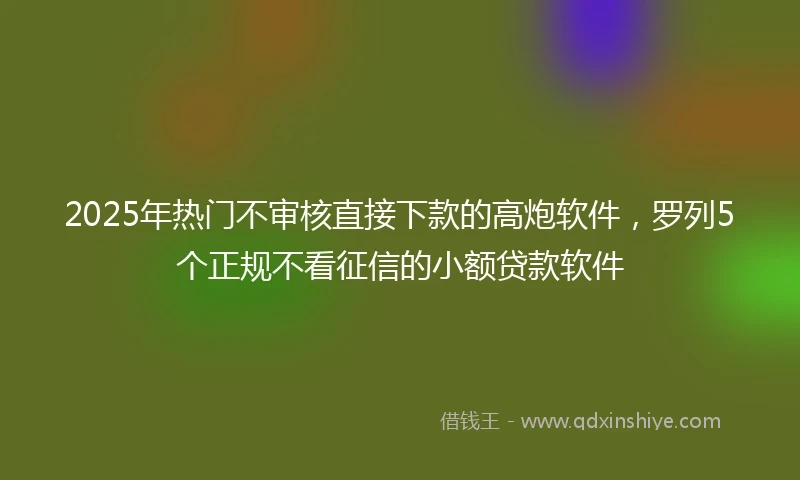 2025年热门不审核直接下款的高炮软件，罗列5个正规不看征信的小额贷款软件