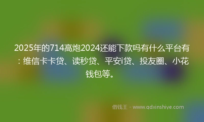 2025年的714高炮2024还能下款吗有什么平台有：维信卡卡贷、读秒贷、平安i贷、投友圈、小花钱包等。