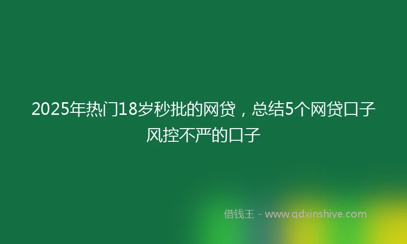 2025年热门18岁秒批的网贷，总结5个网贷口子风控不严的口子