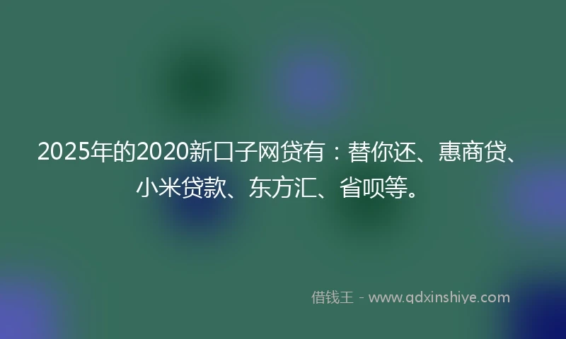 2025年的2020新口子网贷有：替你还、惠商贷、小米贷款、东方汇、省呗等。
