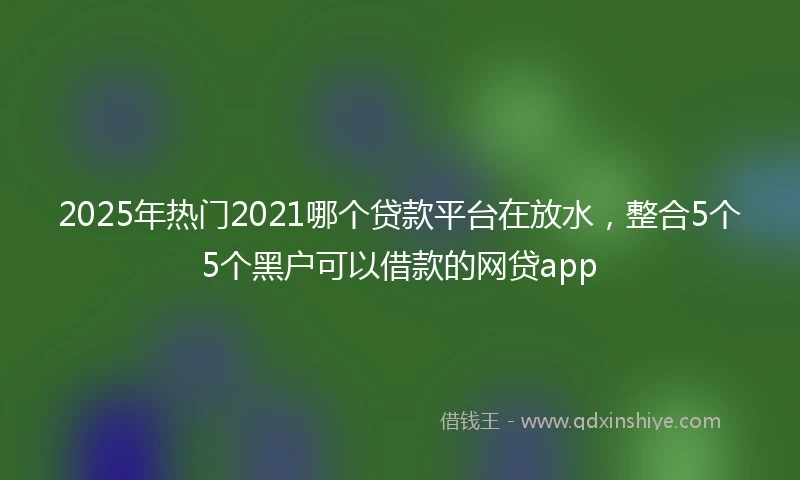 2025年热门2021哪个贷款平台在放水，整合5个5个黑户可以借款的网贷app