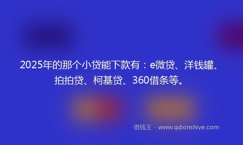 2025年的那个小贷能下款有：e微贷、洋钱罐、拍拍贷、柯基贷、360借条等。