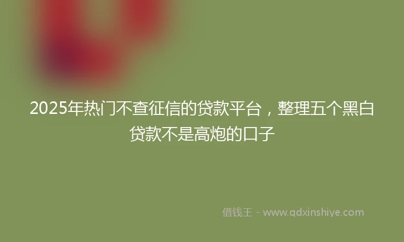 2025年热门不查征信的贷款平台，整理五个黑白贷款不是高炮的口子