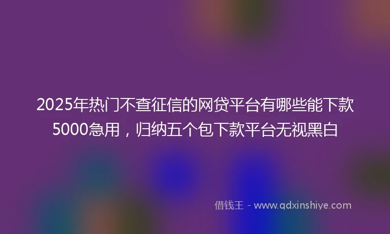 2025年热门不查征信的网贷平台有哪些能下款5000急用，归纳五个包下款平台无视黑白