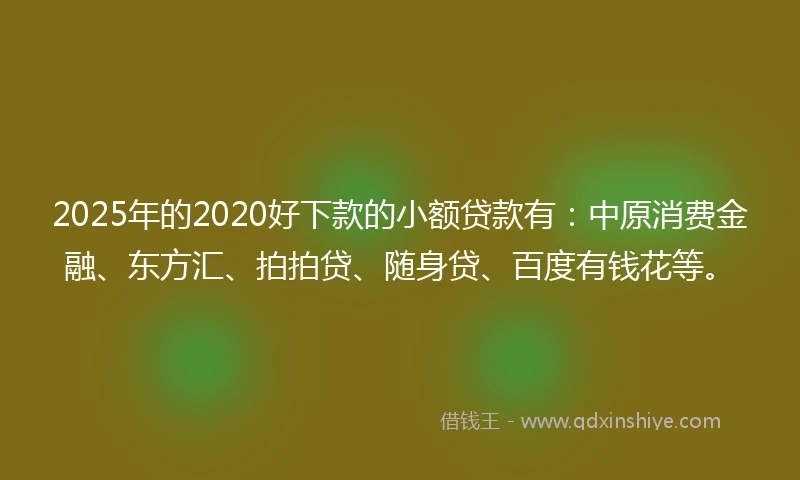 2025年的2020好下款的小额贷款有：中原消费金融、东方汇、拍拍贷、随身贷、百度有钱花等。