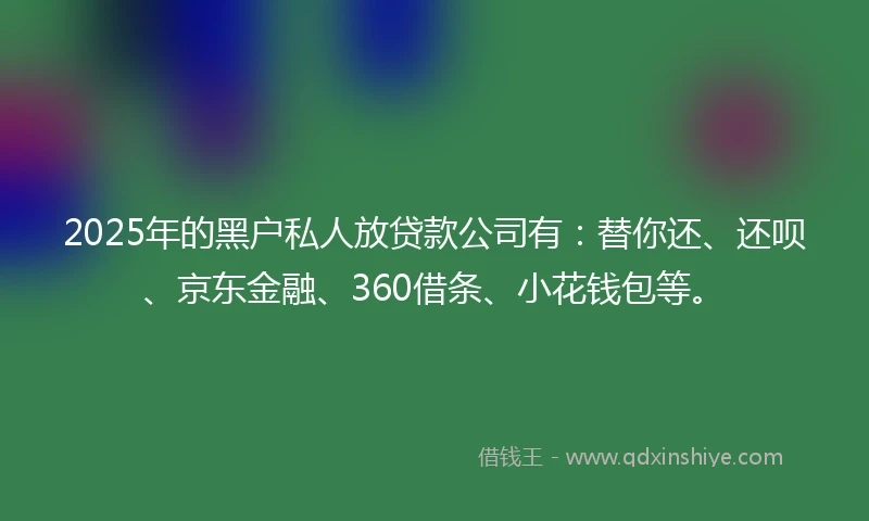 2025年的黑户私人放贷款公司有：替你还、还呗、京东金融、360借条、小花钱包等。