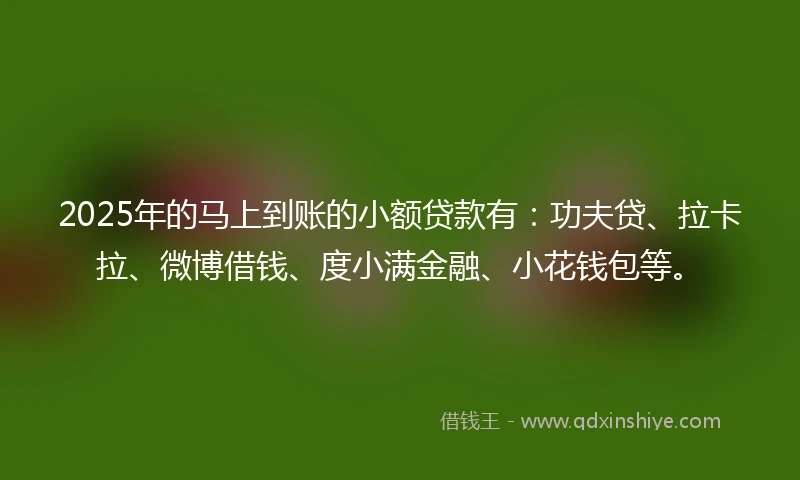 2025年的马上到账的小额贷款有：功夫贷、拉卡拉、微博借钱、度小满金融、小花钱包等。
