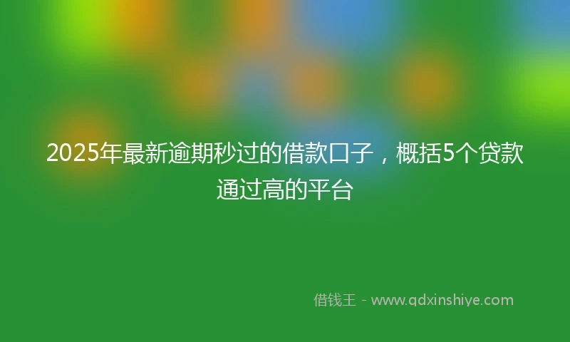 2025年最新逾期秒过的借款口子，概括5个贷款通过高的平台