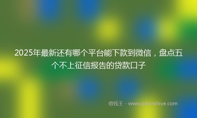 2025年最新还有哪个平台能下款到微信，盘点五个不上征信报告的贷款口子