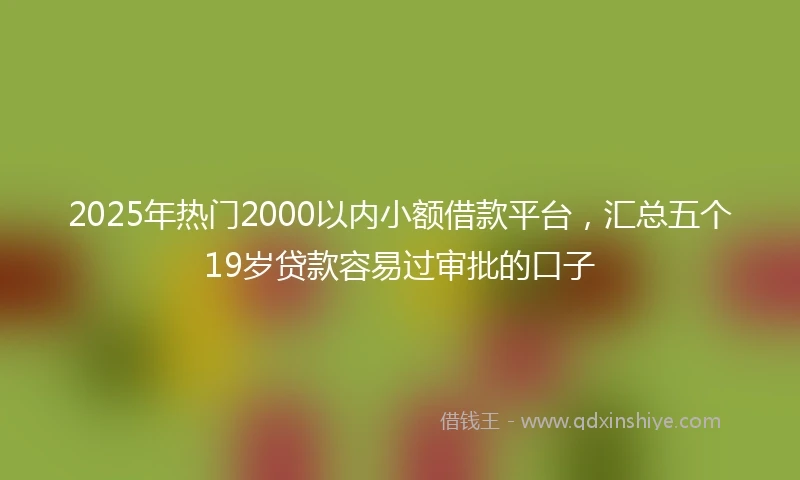 2025年热门2000以内小额借款平台，汇总五个19岁贷款容易过审批的口子