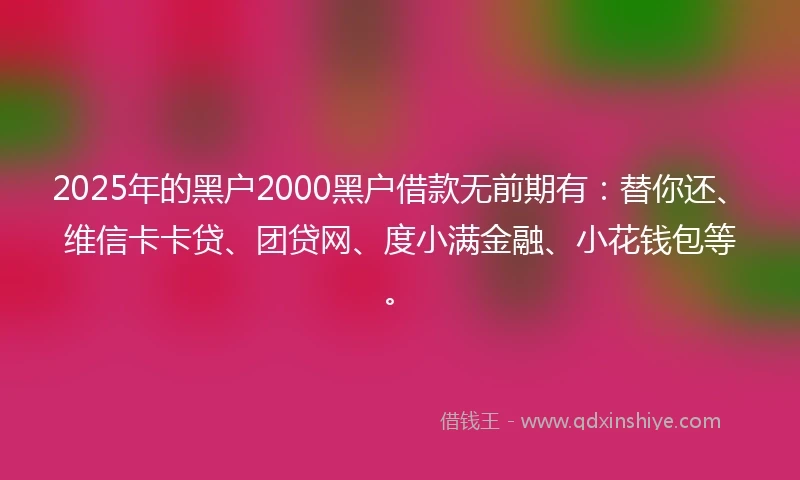 2025年的黑户2000黑户借款无前期有：替你还、维信卡卡贷、团贷网、度小满金融、小花钱包等。