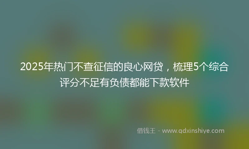 2025年热门不查征信的良心网贷，梳理5个综合评分不足有负债都能下款软件