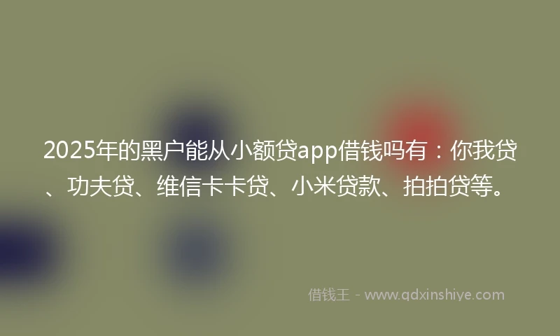 2025年的黑户能从小额贷app借钱吗有：你我贷、功夫贷、维信卡卡贷、小米贷款、拍拍贷等。