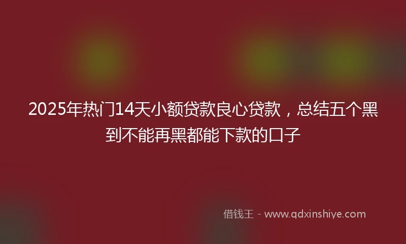 2025年热门14天小额贷款良心贷款，总结五个黑到不能再黑都能下款的口子