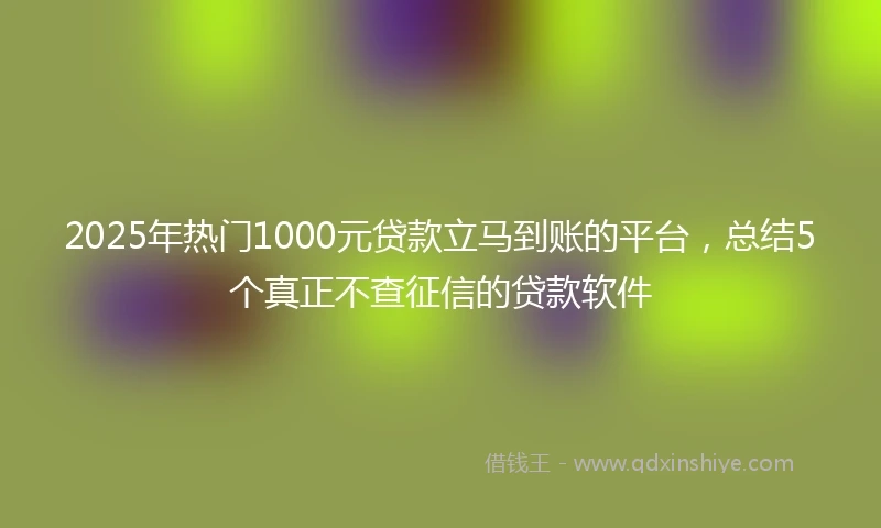 2025年热门1000元贷款立马到账的平台，总结5个真正不查征信的贷款软件